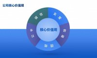 PPT中饼图和折线图用于划分版式及创意设计详解